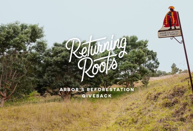 Returning Roots: Arbor splácí dluh přírodě