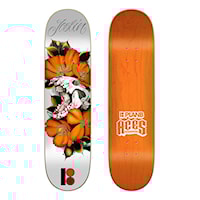 Plan B Cranial Joslin 8.125