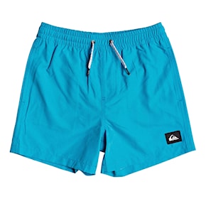 Go to the product Boardshorts Quiksilver Everyday Volley Youth 13 blithe 2020