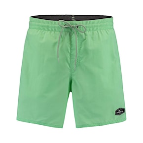 Boardshortky O'Neill Vert neo mint 2020