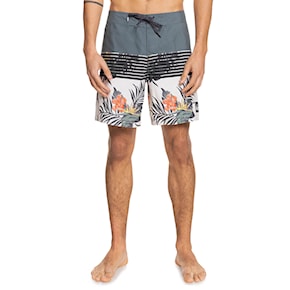 Boardshortky Quiksilver Everyday Division 17 urban chic 2021