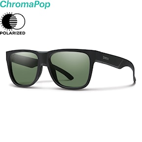 Sunglasses Smith Lowdown 2 matte black 2019