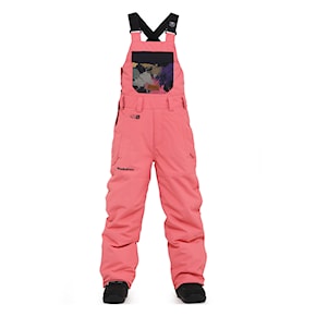 Snowboard Pants Horsefeathers Medler II Youth tea rose 2024