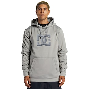 Technical Hoodie DC Snowstar wild dove 2024