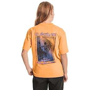 T-shirt Quiksilver Back Flash Ss Youth tangerine 2024