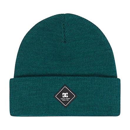 Beanie DC Label deep teal 2026 - 1