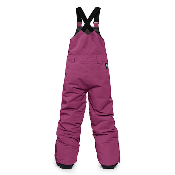 Spodnie snowboardowe Horsefeathers Medler II Youth orchid 2026