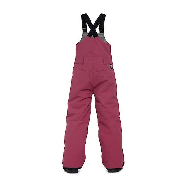 Spodnie snowboardowe Horsefeathers Medler II Youth Pants malaga 2025