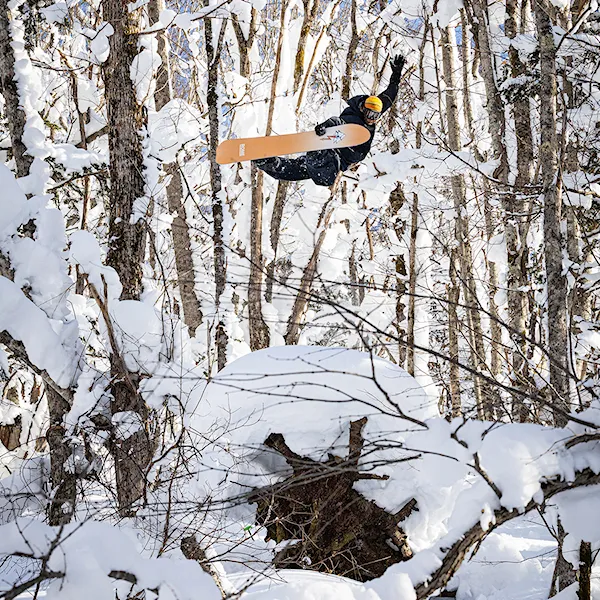 Snowboard Rome Stale Fish 2027
