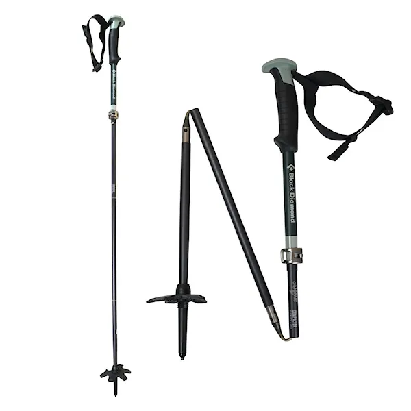 Teleskopické palice Black Diamond BD Compactor Poles forest 2024