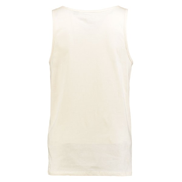 Tílko O'Neill Palms Logo Tank birch 2016