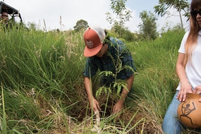 Returning Roots. Arbor is giving back to the Earth what is takes from ...