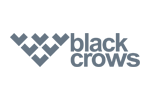 Black Crows