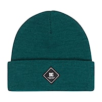 Beanie DC Label deep teal 2026