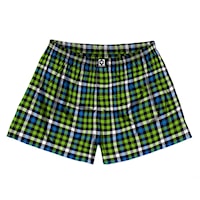 Boxer Shorts Horsefeathers Sonny kiwi