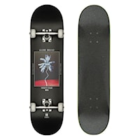 Globe G1 Palm Off