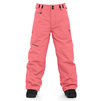 Kalhoty na snowboard Horsefeathers Spire II Youth tea rose 2024