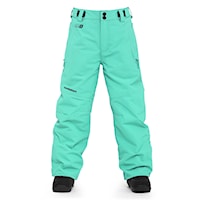 Kalhoty na snowboard Horsefeathers Spire II Youth turquoise 2024