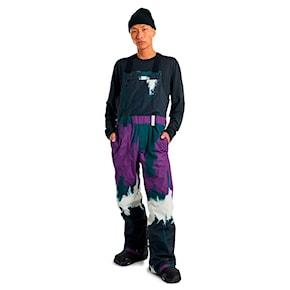 Snowboard Pants Burton Snowdial Bib forest chalk 2025