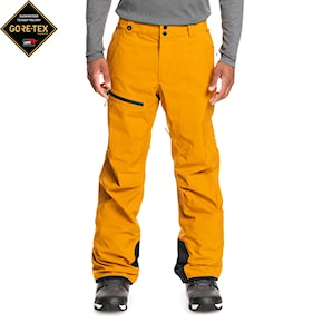 Snowboardové kalhoty Quiksilver Forever Stretch GTX buckthorn brown 2022/2023