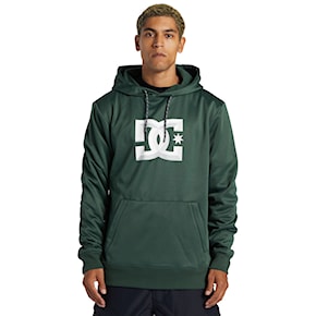 Hoodie DC Snowstar sycamore 2024