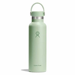 Termoska Hydro Flask 21 Oz Standard Flex Cap aloe