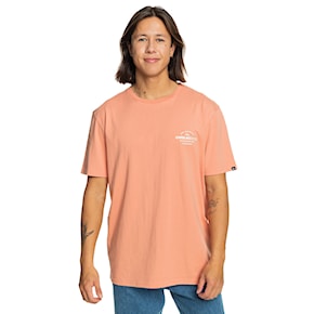 T-shirt Quiksilver Tradesmith SS canyon clay 2024