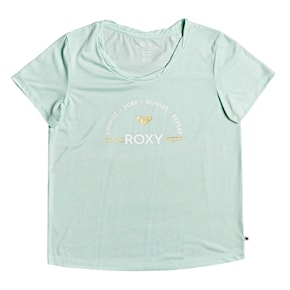 T-shirt Roxy Chasing The Swell A brook green 2021