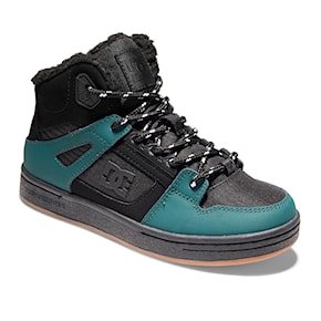 Winter Shoes DC Pure High-Top Wnt dark green 2022