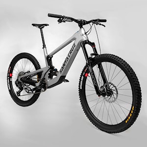 Santa Cruz Heckler SL C GX AXS-Kit MX matte silver