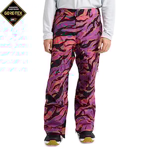 Burton [ak] Swash Gore-Tex 2L Pant slash multi