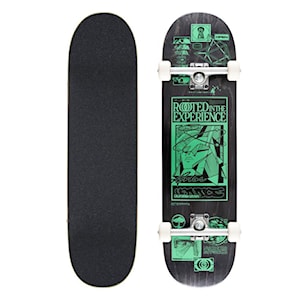 Arbor Rooted In The Experience 8.5