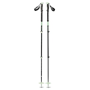 Black Diamond Expedition 3P Ski Poles desert sage