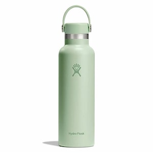 Hydro Flask 21 Oz Standard Flex Cap aloe