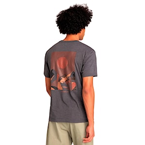 Quiksilver Abstract Nature SS tarmac