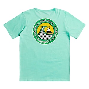 Quiksilver Electric Roots Ss Youth cabbage