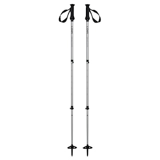 Telescopic Poles Jones Explorer silver 2019