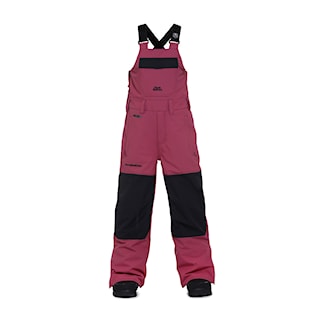 Kalhoty na snowboard Horsefeathers Medler II Youth Pants malaga 2025
