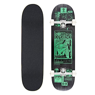 Deskorolka Arbor Rooted In The Experience 8.5 2026