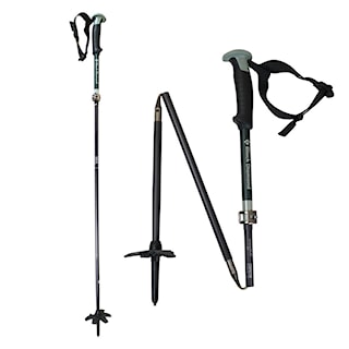 Teleskopické hůlky Black Diamond Compactor Poles forest 2024