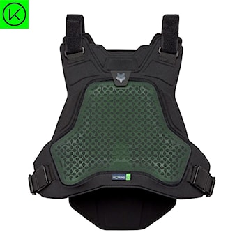 Bike Back Protector Fox Airframe black | Snowboard Zezula