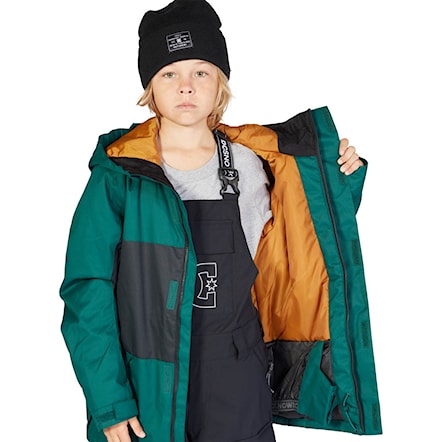 Snowboard Jacket DC Defy Youth botanical garden 2023 - 8