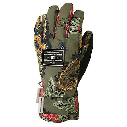 Snowboard Gloves DC Wms Franchise paisley ivy green 2023 - 1