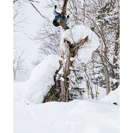 Nohavice na snowboard Beyond Medals Park Pants black 2026 - 16