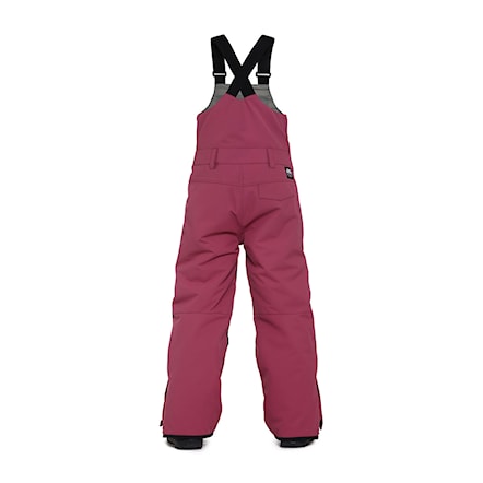 Snowboard Pants Horsefeathers Medler II Youth Pants malaga 2025 - 2