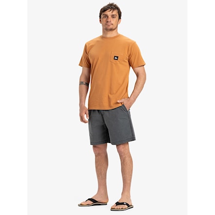 Szorty Quiksilver Taxer WS black 2025 - 4