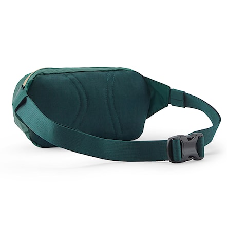 Ledvinka Patagonia Terravia Mini Hip cascade green 2025 - 2
