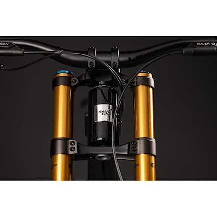 MTB kolo Santa Cruz V10 CC DH S 29" gloss black sparkle 2025 - 10