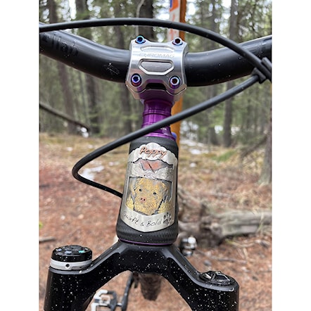 Stem Chromag Riza 31.8×32 silver - 6