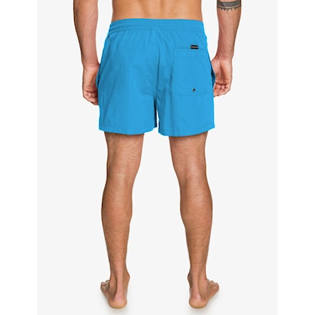 Swimwear Quiksilver Everyday Volley 15 blithe 2022 - 2